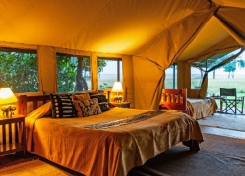 3 Days Masai Mara Safari ~ Luxury