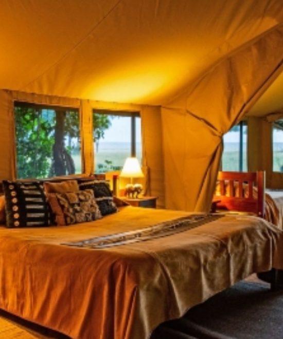 3 Days Masai Mara Safari ~ Luxury