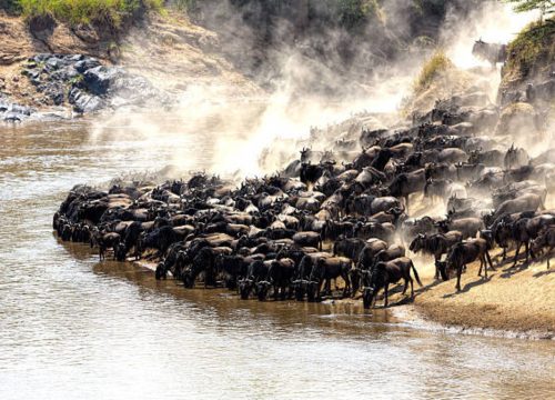 Maasai Mara Safari -BUSH PACKAGE