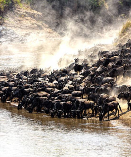 Maasai Mara Safari -BUSH PACKAGE