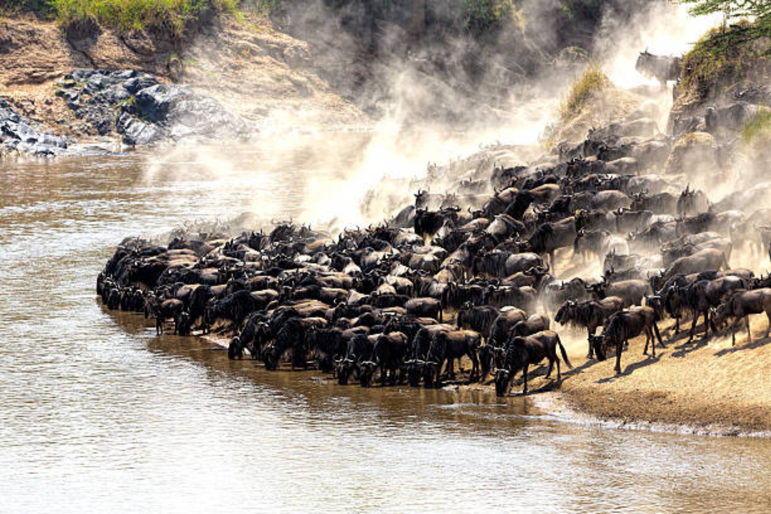 Maasai Mara Safari -BUSH PACKAGE