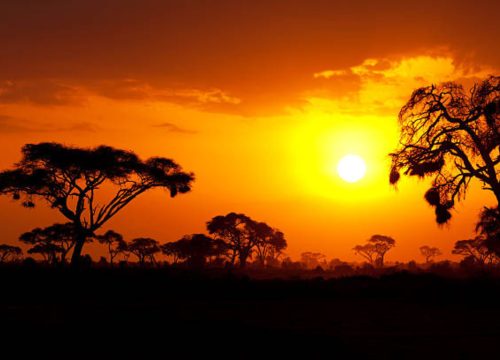 12 Days Kenya Safari and Beach Holiday