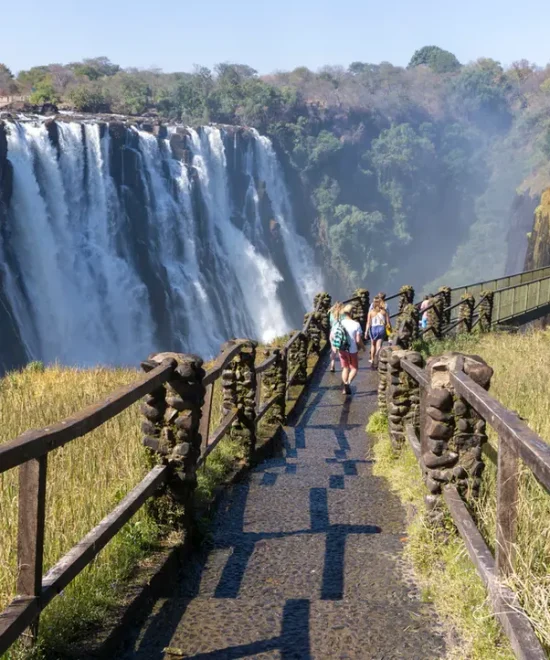 Enchanting South African Family Safari