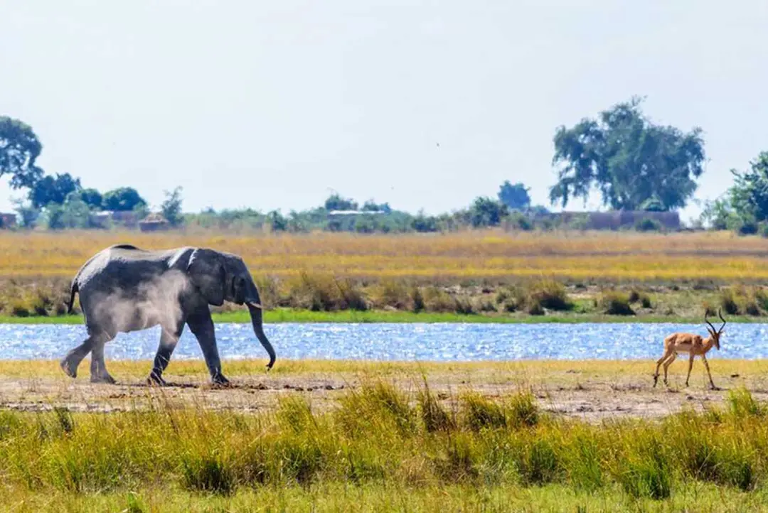 29-Day Exciting Tour From Johannesburg to Zanzibar