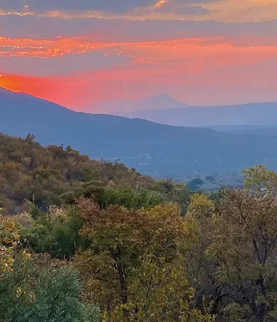 Luxury Stay and Tour at the Mabula Game Reserve