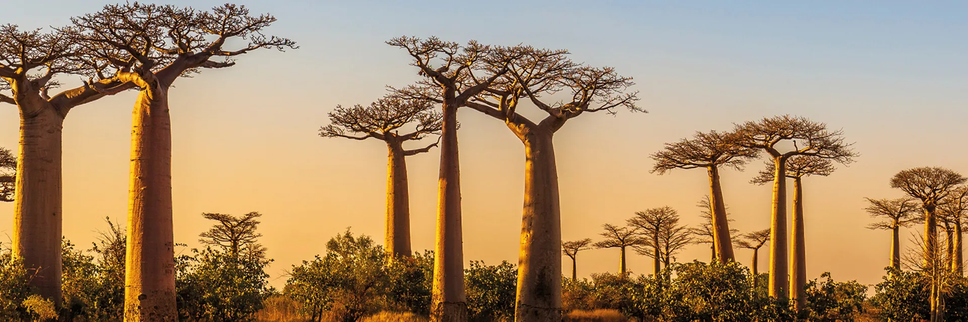 15-Day Tour of Magnificent Madagascar