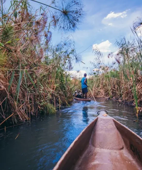 30-Day Scenic Safari Across Southern Africa