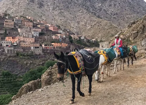 7-Day Mount Toubkal Trek In Morocco