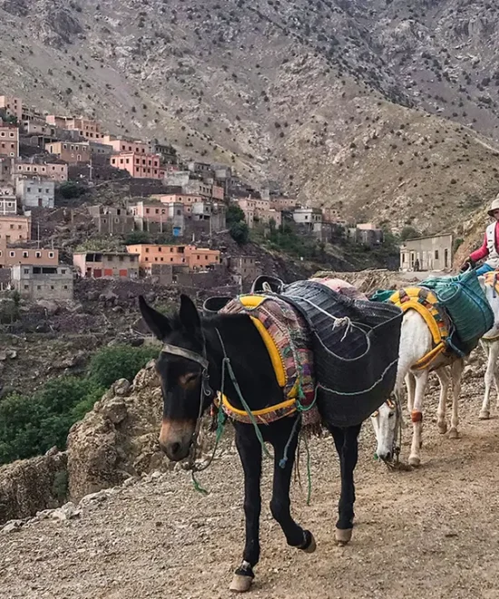 7-Day Mount Toubkal Trek In Morocco