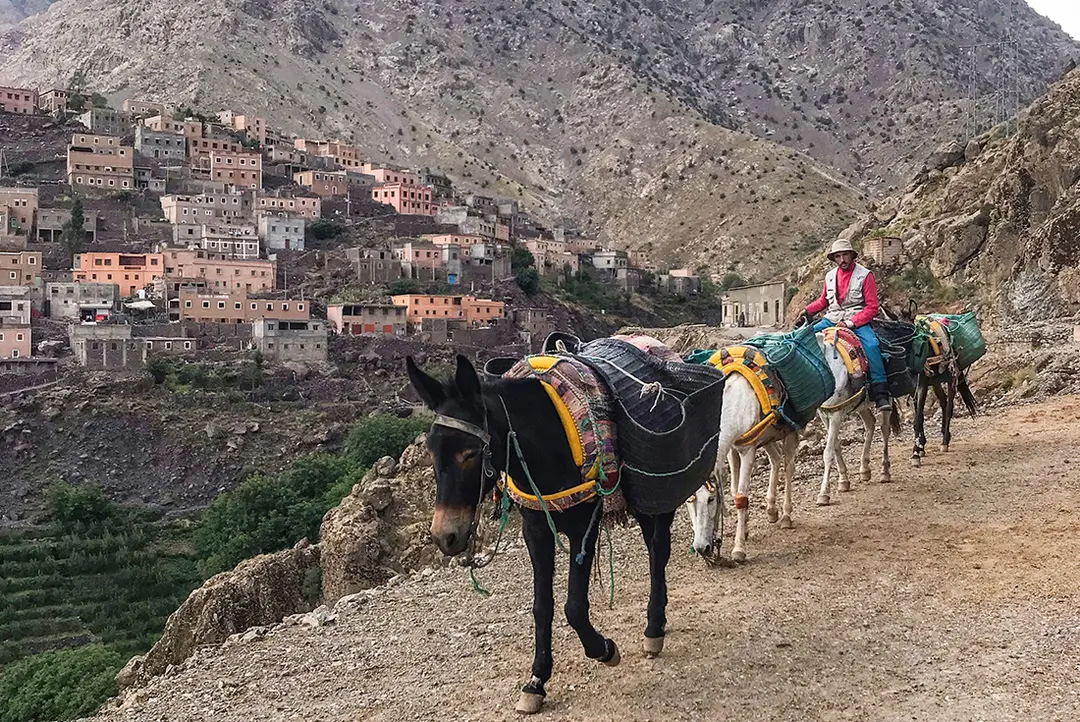 7-Day Mount Toubkal Trek In Morocco