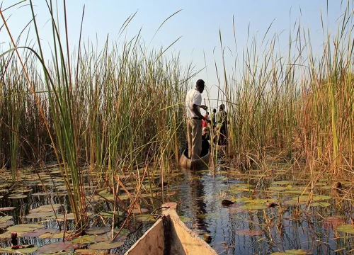 40-Day African Adventure From Zanzibar to Cape Town