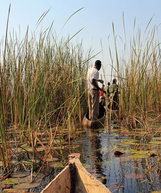 40-Day African Adventure From Zanzibar to Cape Town