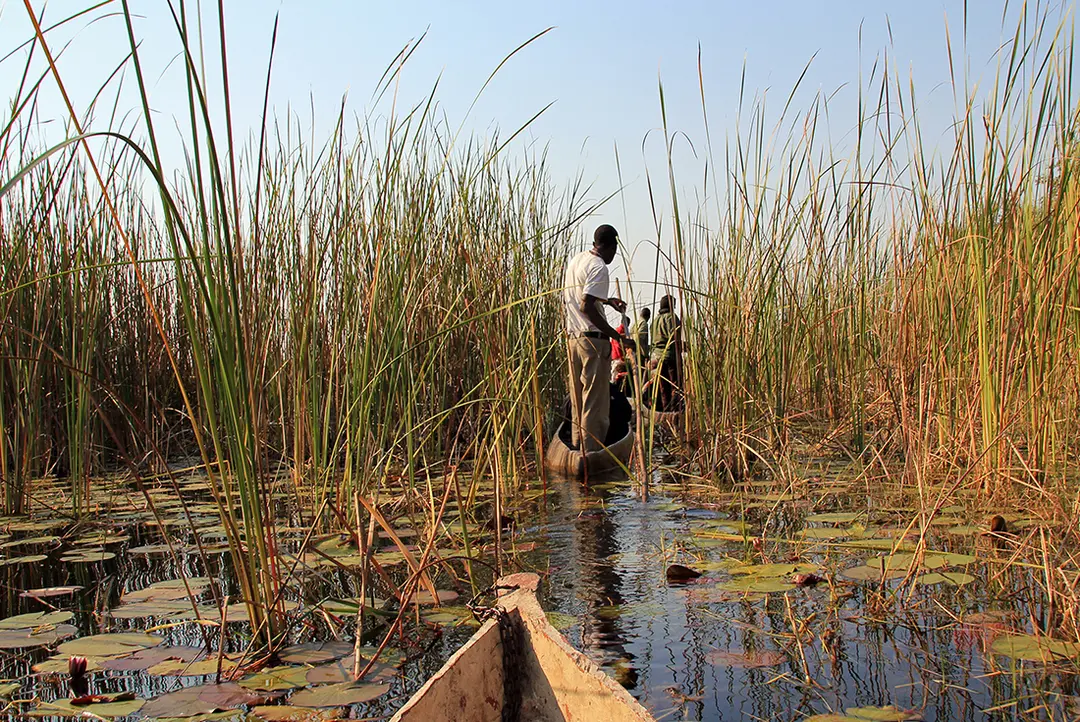 40-Day African Adventure From Zanzibar to Cape Town